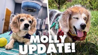 Molly Beat Cancer