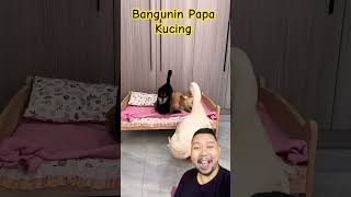 BANGUNIN PAPA KUCING TIDUR!!!??? #duck #cat #pets #cute #animals #funny