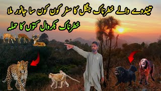 Jangle Ka Khatrnak 😴 Safar Village Life Daily Routine MB Vlogs