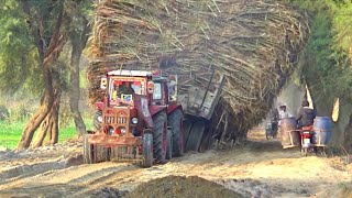 Great Vehicles for biggest farmer | Best Belarus Tractors for pulling sugarcane loaded trailer