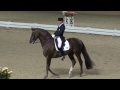 frh rassolini u0026 jan ebling fei cdi w grand prix freestyle evening of musical freestyles 2015