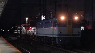 【カラシ牽引伊豆箱根鉄道甲種介在車返却回送】JR貨物 EF65 2127号機+介在車コキ3B 臨貨[9074レ] 東京タ行 小田栄駅通過！