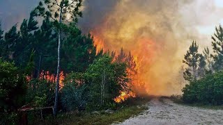 West Mims Fire Fight Continues