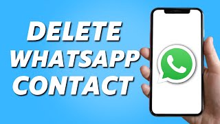How to Delete Whatsapp Contacts (Easy 2024)