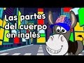 Partes del cuerpo en inglés - Canciones Infantiles - Doremila