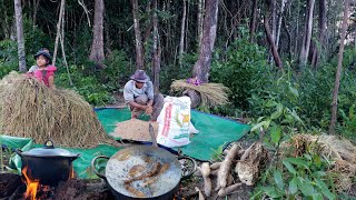 រសៀលច្រូតស្រូវទុំ ដំឡូងជ្រូកព្រៃ AFTERNOON ON RICE ISLAND WITH FOREST POTATO QUALITY 4K VIDEO