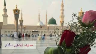 نور کا ساگر نور کی مہک ❤️ naat sharif by iram naaz  #islamicvideo #naatsharif #viralvideo #trending