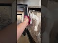 Cleaning wood burner