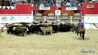 Smooth Talkin Style - 2014 NCHA Futurity - Open Finals - Score: 225