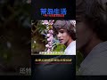 藍色珊瑚礁：一男一女流落荒島，生活快樂的讓人羨慕 電影 動作 懸疑 劇情 電影解說