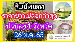 ราคาข้าววันนี้ 26 ตุลาคม 65/ราคาข้าวเปลือกวันนี้/ราคาข้าวเปลือก/ราคาข้าวนาปรัง