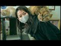 肩乗り猫ちゃんのいる猫カフェがすごい【番外編】【過去動画】