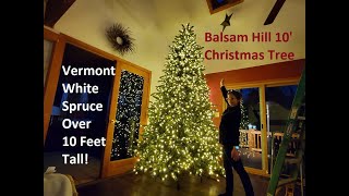 Balsam Hill 10' Christmas Tree