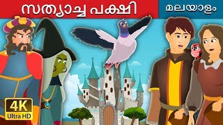 സത്യാച്ച പക്ഷി | The Bird of Truth Story | Malayalam Cartoon | @MalayalamFairyTales