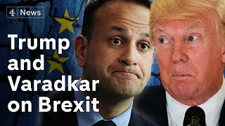 Donald Trump and Leo Varadkar discuss Brexit