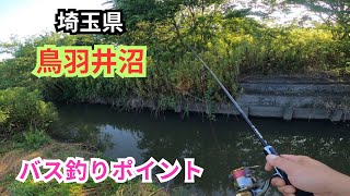 【バス釣りポイント】埼玉で人気の鳥羽井沼　ここで是非とも釣りたいと意気込む