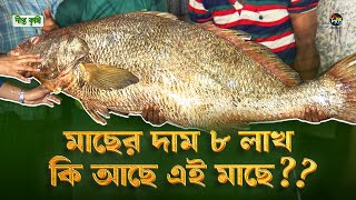 Deepto Krishi | মাছের রাজ্য চট্টগ্রাম ফিশারি ঘাট | মৌসুমে প্রায় ২৫ থেকে ৩০ কোটির বেচাকেনা | Fish