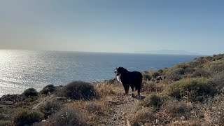 Spend the weekend with us and the animals | Syros 4