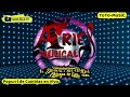 aries musical. popurrí de cumbias en vivo y llego el saboorr contrataciones 9711379497 9717285937.