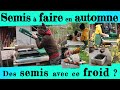 Tout ce qu'il faut semer en automne ! Potagères, fruitiers, petits fruits, etc...