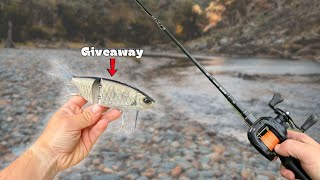 The BEST Topwater MURRAY COD Lure