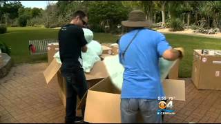 A Look At The Transport \u0026 Installation Of Dale Chihuly's Art At Fairchild