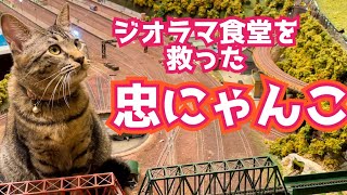 【癒し🥺】コロナ禍でピンチの鉄道ジオラマ食堂をにゃんこが救う！【幸❤️】#36