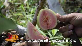 Spot|คนนำทาง|ปี2|EP1|2022.5.10