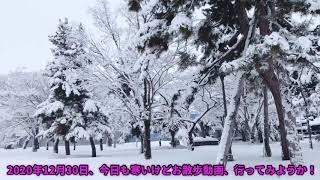 雪の日の合浦公園が美しかったタケ散歩 2020〜The scenery was unutterably beautiful‼︎👍〜