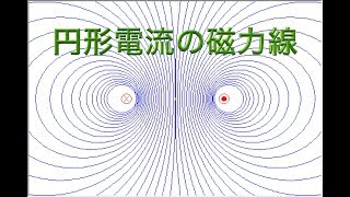 円形電流の磁力線（Circular magnetic field lines）