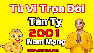 Tử vi trọn đời 2001 nam mạng: Cuộc đời đầy sóng gió - Xem tử vi trọn đời tuổi Tân Tỵ