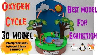 oxygen cycle working model #schoolproject #oxygencycle #oxygen #cycleinnature #scienceproject #tlm