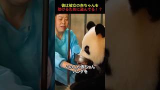 赤ちゃんを盗む動物園スタッフ #shorts