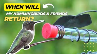 When Will My Hummingbirds and Orioles Return?