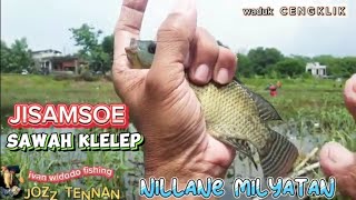 PANAS & MENGGIURKAN SPOT || SAWAH KLELEP WACENG DI SERBU  PEMANCING .‼️