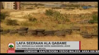 Lafa Seeraan ala METEC'n qabame  Sad 03, 2011