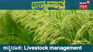 ಅನ್ನದಾತ | Livestock Husbandry Management Practices | Sep 15, 2018