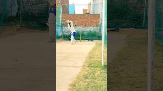 that's a beautiful shot 🏏😍🔥 #reels #cricket #viral #cricketstyler #cricketshorts #ytshorts #shorts