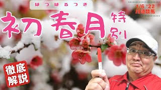 【田倉の予想】初春月（はつはるつき）特別 徹底解説！