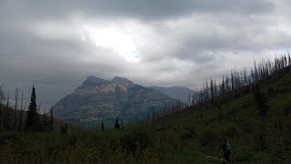 Waterton Weekly Week 5 June 7-14 2024