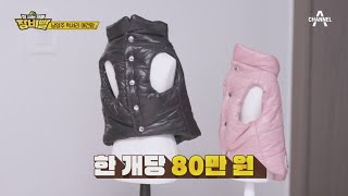 현실판 개 팔자가 상팔자~~ 애견맘 장비러가 꼽는 BEST 3 아이템은? | 잘사는재미 장비빨 4 회