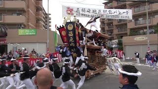 岸和田南掃守地区だんじり祭り（午後最終）2017年10月8日