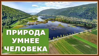 Австрия, заповедник водоплавающих птиц