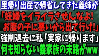 【スカッと】里帰り出産で帰省してきた義姉から強制退去要求「妊婦をイライラさせんなよ！お腹の子に悪いから出て行け！」→私「では、実家に帰ります」何も知らない義家族の末路がヤバすぎる