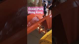 Having fun in Ocean Park Hong Kong #hongkong #oceanpark #waterslide #shorts