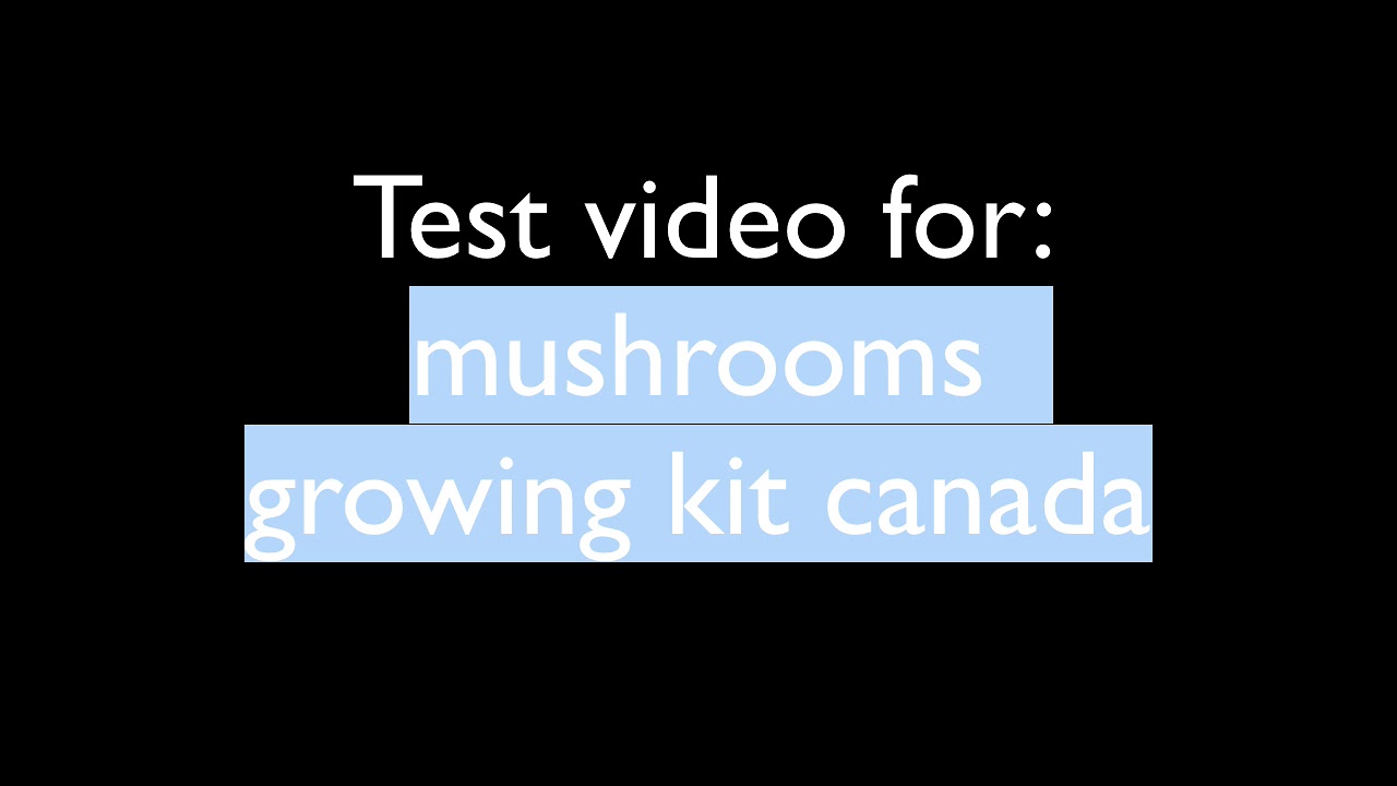 Mushrooms Growing Kit Canada - YouTube