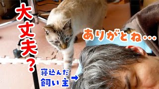 飼い主が体調不良で寝込んでいたら猫が心配してお見舞いに来てくれました