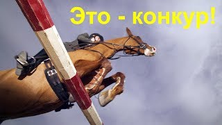 Эко – конкур! Учимся прыгать на лошади