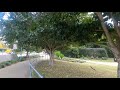 brisbane university of queensland 4k ambient walk