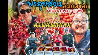 อินทผาลัมโลละหมื่นที่เดียวในประเทศที่สวนอินสยาม | EP67 ดีเจซุปตาร์พาตะลอน